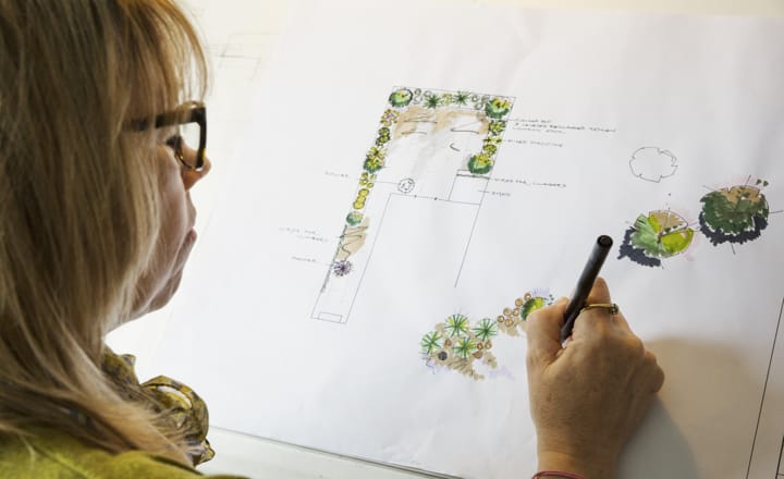 una mujer dibujando como diseñar un jardín en casa