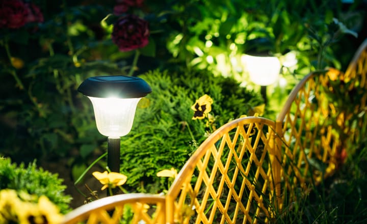 la iluminación de un jardín, vegetación y valla