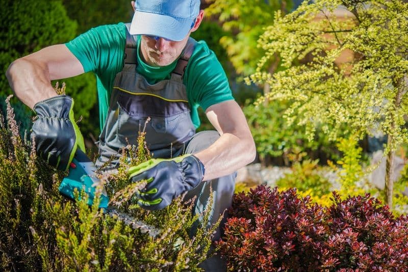 fotografía de un jardinero cuidando un jardín
