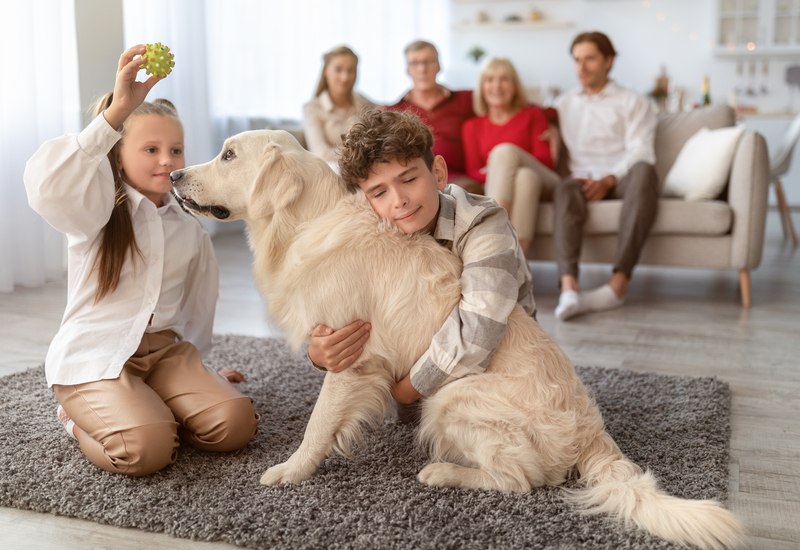 imagen de una familia con un perro