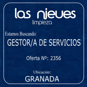 Se busca gestor/a de servicios en Granada