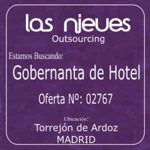 GOBERBNANTA DE HOTEL MADRID