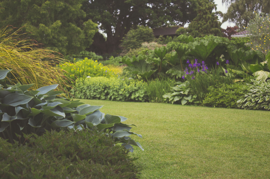 beneficios de la jardineria