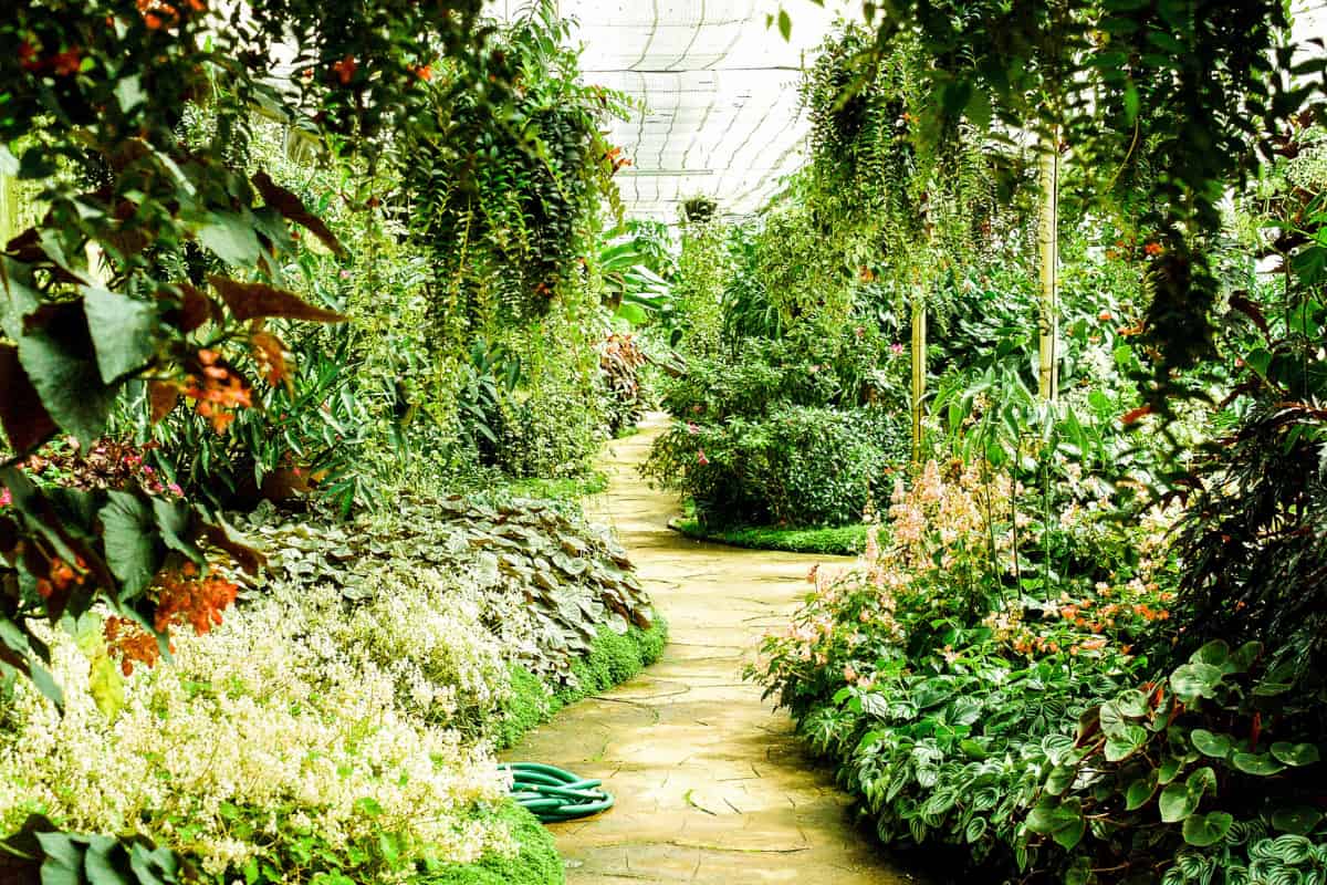 Jardinería, paisajismo y bienestar: beneficios para la salud