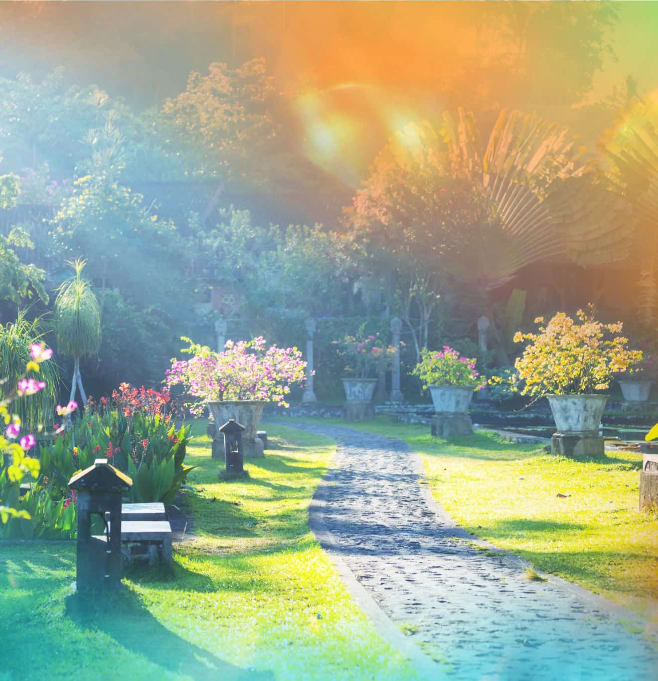 servicios jardineria